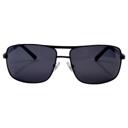 POLAR EAGLE polarized 6205 сталь/черный