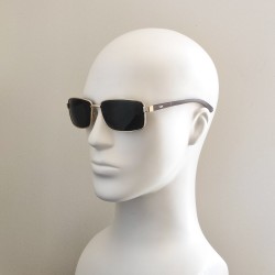 POLAR EAGLE polarized 0390 золото/черный