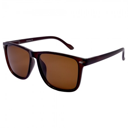Поляризованные солнцезащитные очки 02033 Polar Eagle Polarized Коричневый Глянцевый