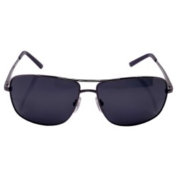 POLAR EAGLE polarized 0347 сталь/черный