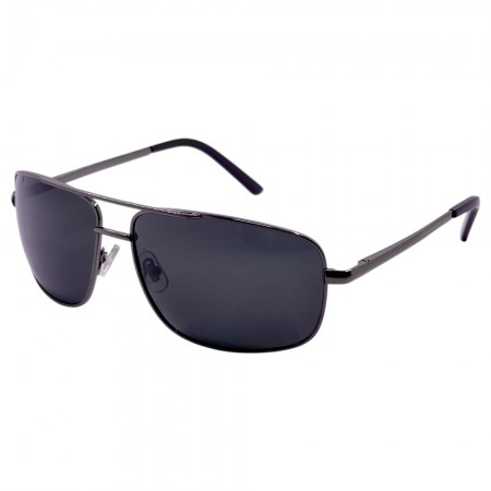 POLAR EAGLE polarized 0344 сталь/черный
