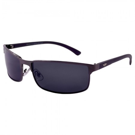 POLAR EAGLE polarized 0358 сталь/черный