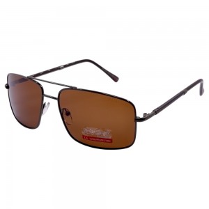POLAR EAGLE polarized 0430 коричневий