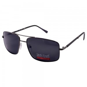 POLAR EAGLE polarized 0430 сталь/чорний
