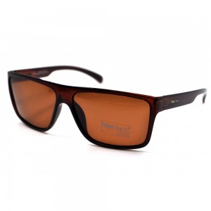 POLAR EAGLE polarized 02011 коричневий