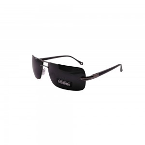 POLAR EAGLE polarized 6001 сталь/черный