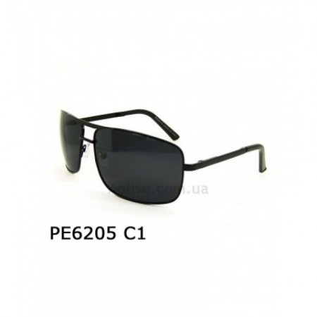 POLAR EAGLE polarized 6205 сталь/черный