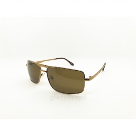 Everon Polarized 3013 Коричневый