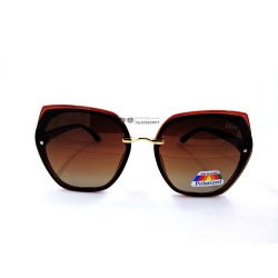 Polarized 5223 CD Коричневый