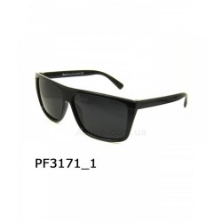 Graffito polarized 3171 чер глянець