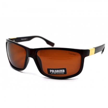 POLAR EAGLE polarized 02266 коричневый