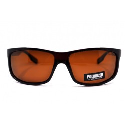 POLAR EAGLE polarized 02266 коричневый