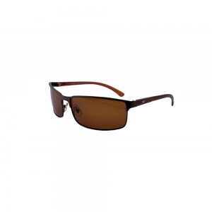 POLAR EAGLE polarized 0358 коричневий