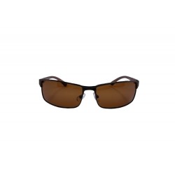 POLAR EAGLE polarized 0358 коричневый