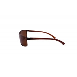 POLAR EAGLE polarized 0358 коричневый