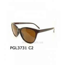 Graffito polarized 3731 Коричневый