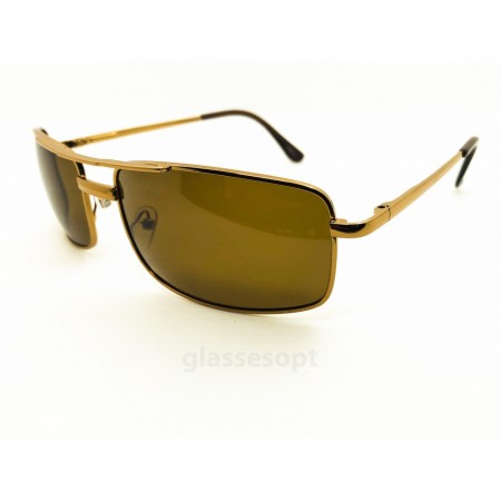 Everon Polarized 3015 Коричневый