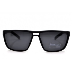 POLAR EAGLE polarized 02009 черный матовый/черный