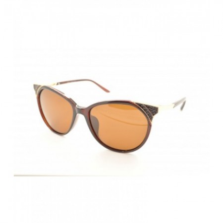 Polar Eagle polarized 05260 Кричневый